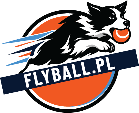 Flyball | Biegające psy